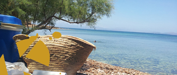 Picnic - Multiaventura - Mallorca